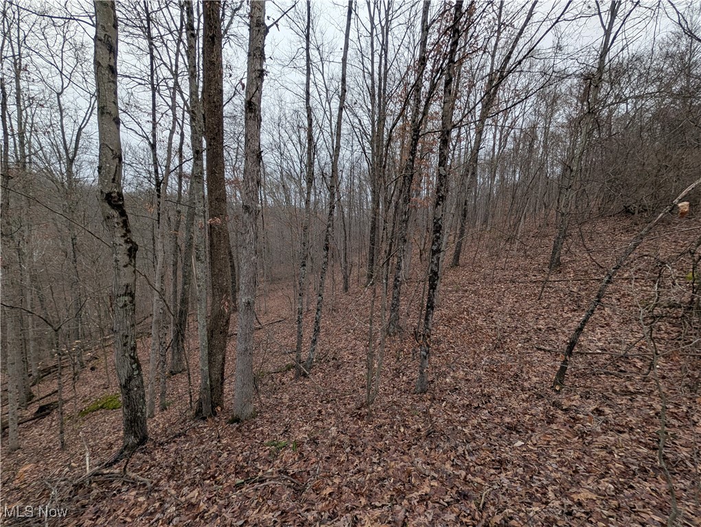 Brown Peavine Road Alledonia, OH 43902 - Photo 19 of 50