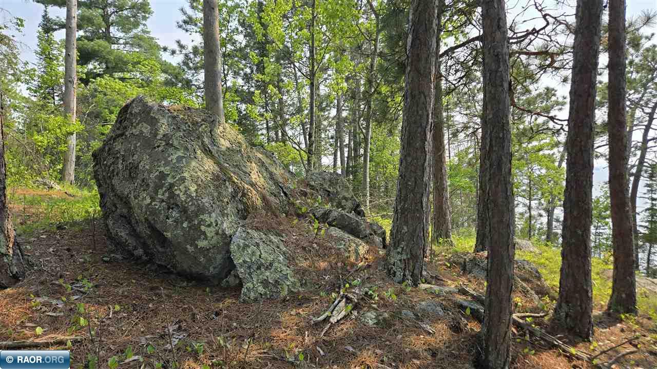 11.85 Bessette Road Orr, MN 55771 - Photo 27 of 50