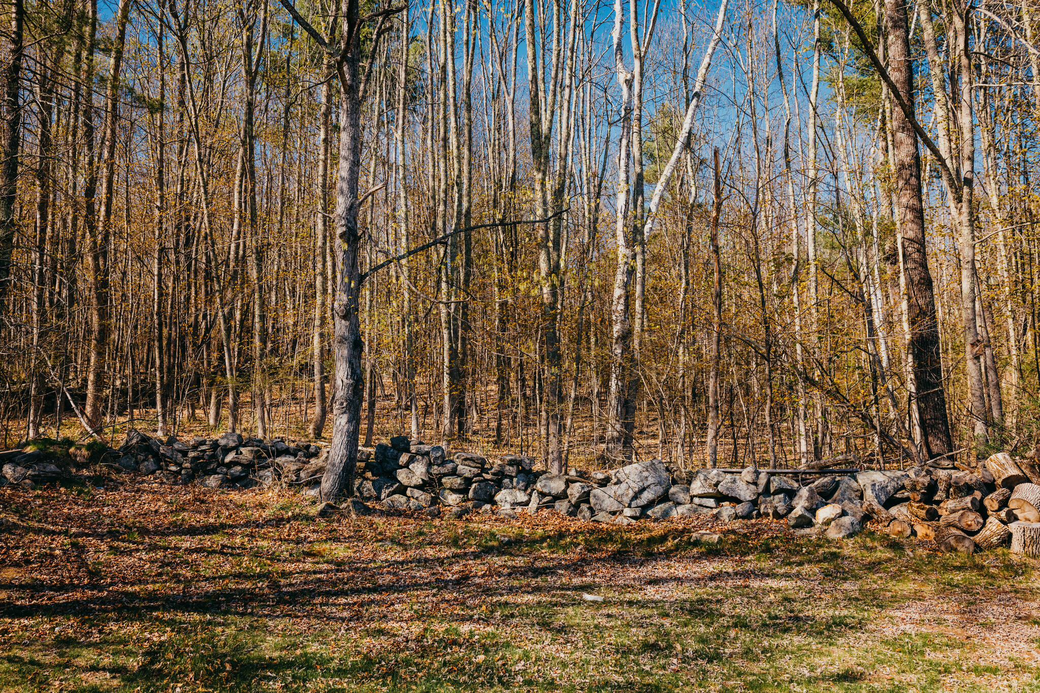 39 Senator Black Road West Baldwin, ME 04091 - Photo 75 of 91 baldwin#5-10_(2048)