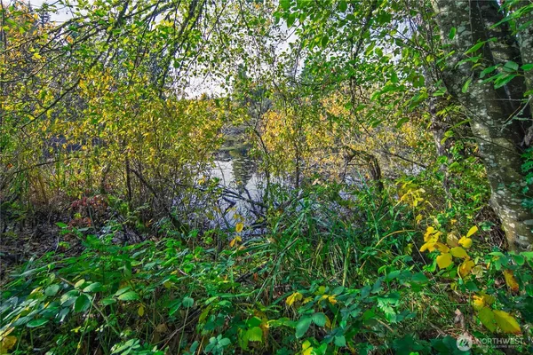 a view of a tree