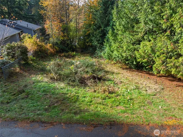a view of a yard with plants and a bench