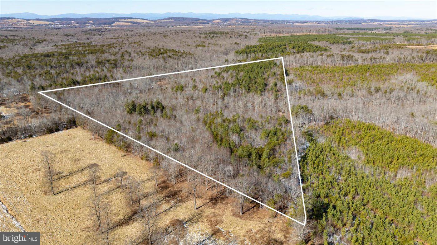 0 Black Oak Road Orange, VA 22960 - Photo 14 of 29 Gallery Image 14