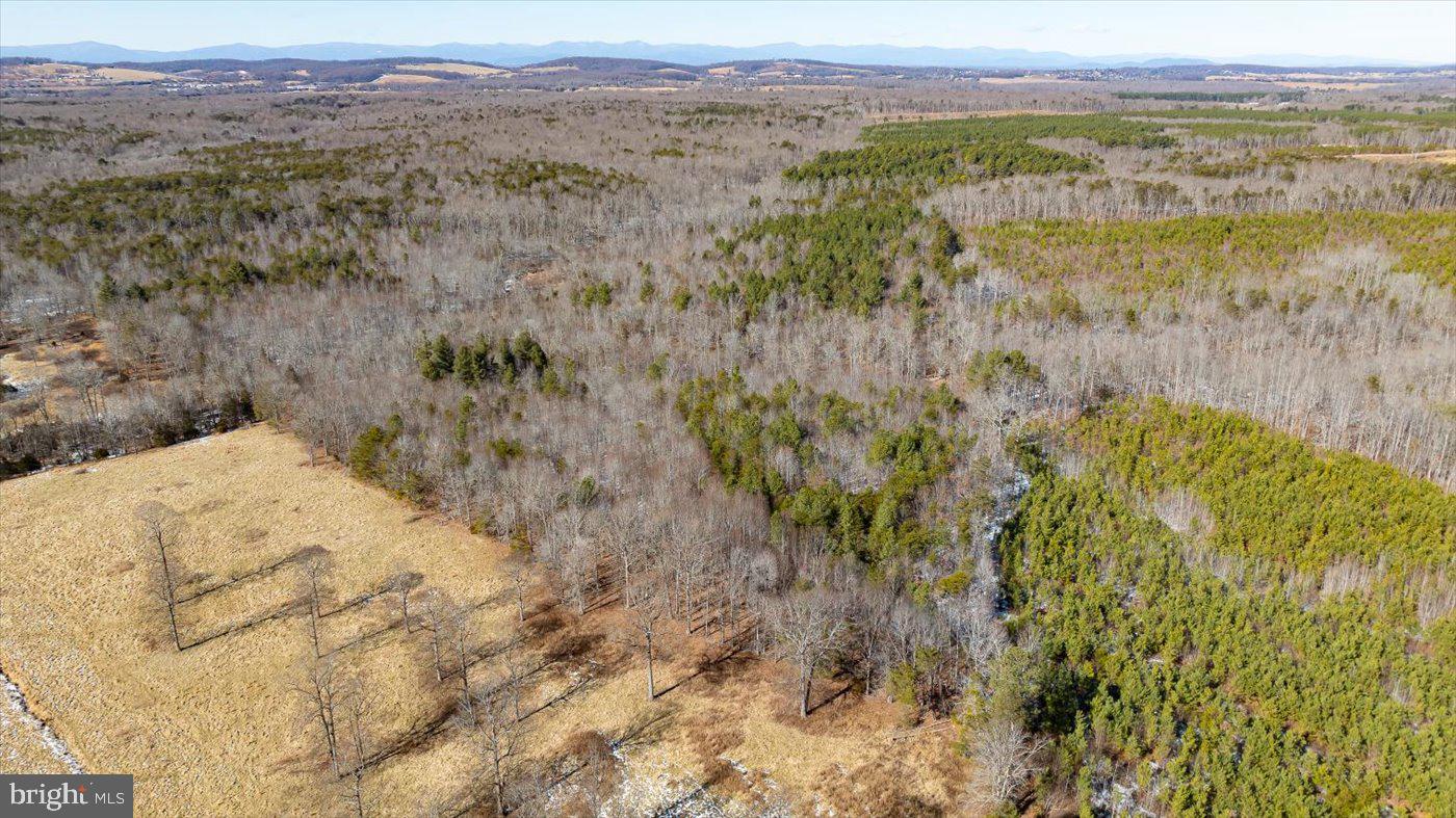 0 Black Oak Road Orange, VA 22960 - Photo 16 of 29 Gallery Image 16