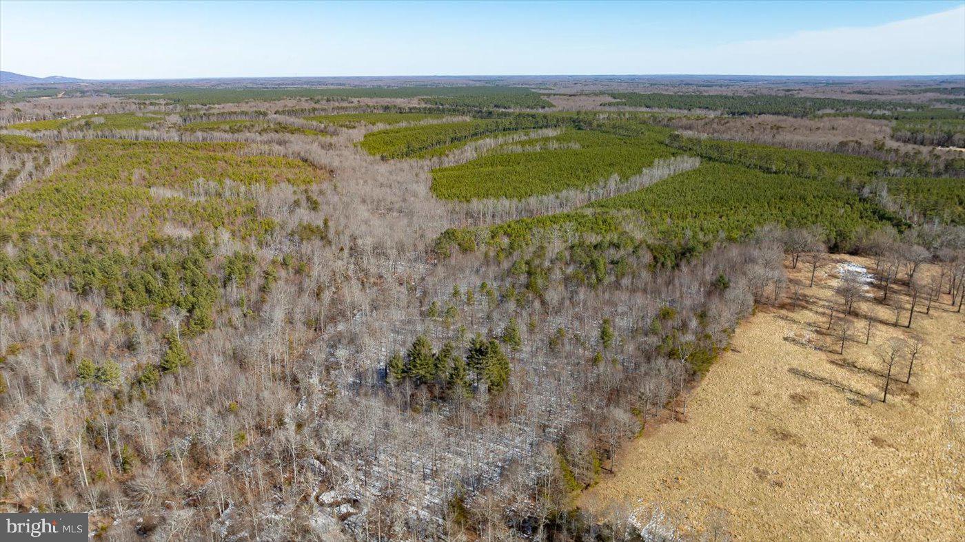 0 Black Oak Road Orange, VA 22960 - Photo 21 of 29 Gallery Image 21