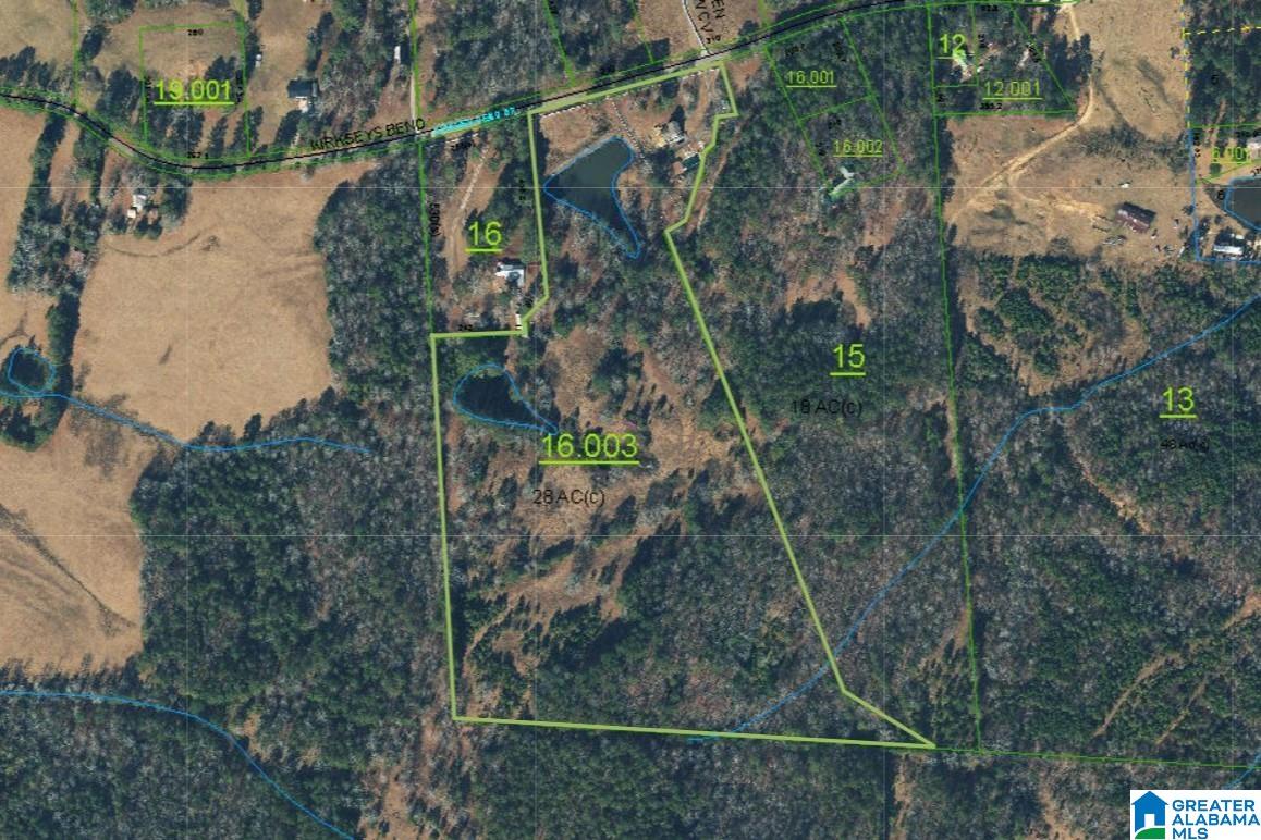 3370 Kirkseys Bend Ohatchee, AL 36271 - Photo 3 of 92