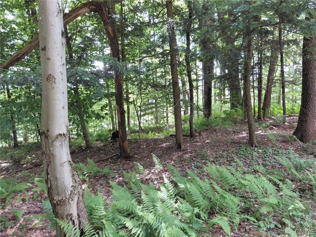 10269 Evans Road Steuben, NY 13438 - Photo 7 of 15