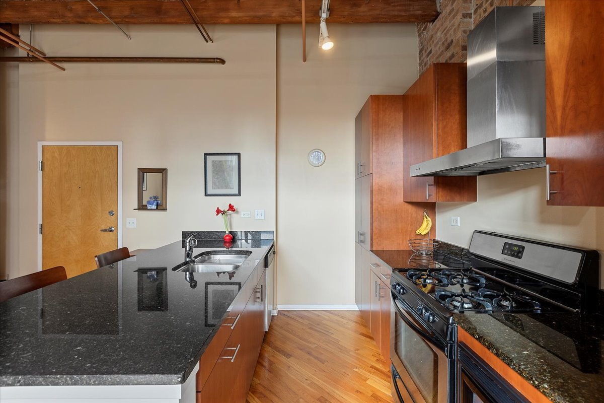 1040 West Adams Street, Unit 459 Chicago, IL 60607 - Photo 9 of 30 a kitchen with stainless steel appliances granite countertop a stove and a sink