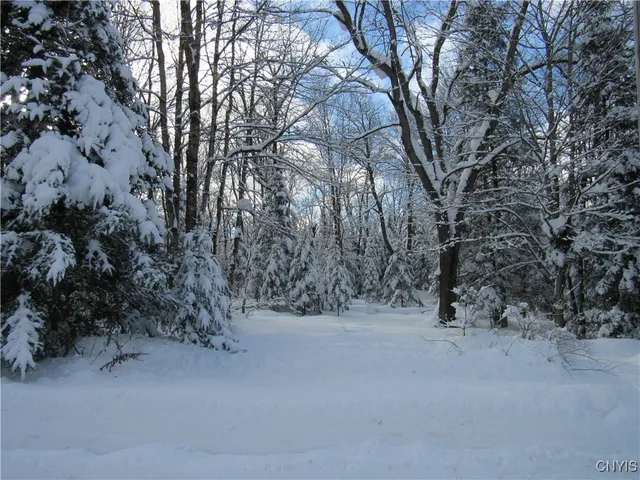 $59,500 | 1018 S Road, Forestport, NY 13338