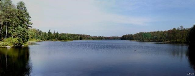 1018 S Road Forestport, NY 13338 - Photo 13 of 24