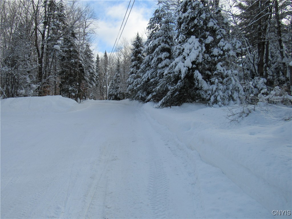 1018 S Road Forestport, NY 13338 - Photo 16 of 24