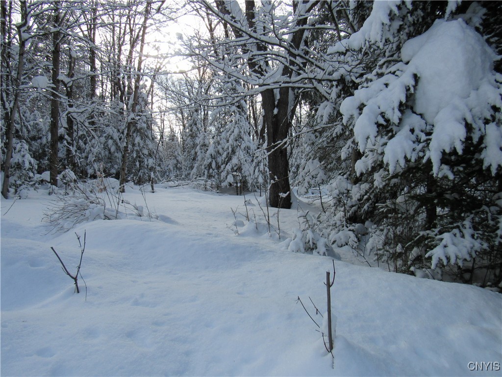 1018 S Road Forestport, NY 13338 - Photo 17 of 24