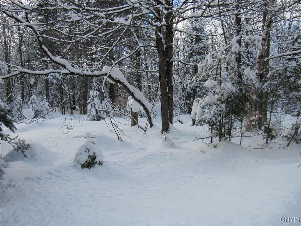 1018 S Road Forestport, NY 13338 - Photo 18 of 24