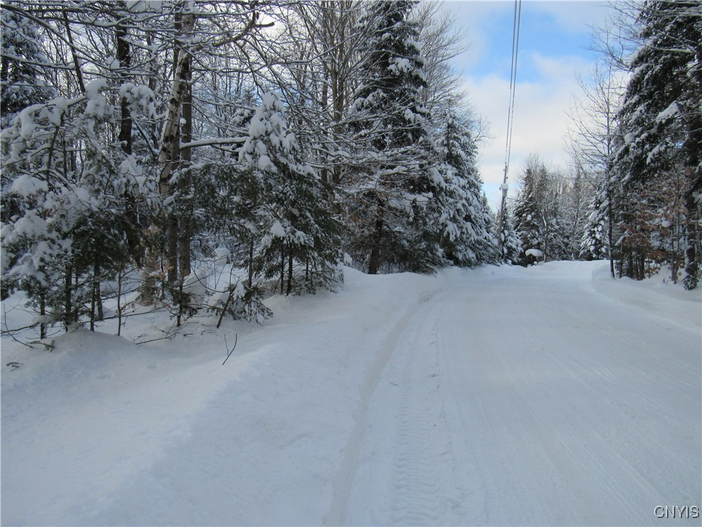 1018 S Road Forestport, NY 13338 - Photo 19 of 24