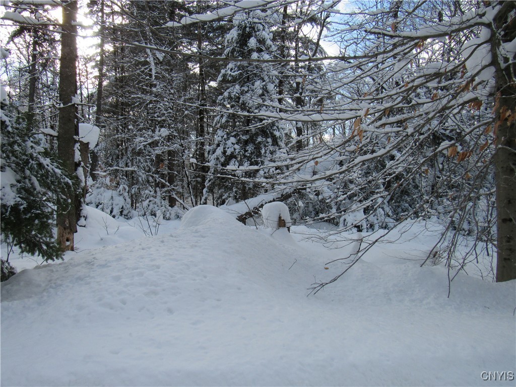 1018 S Road Forestport, NY 13338 - Photo 20 of 24