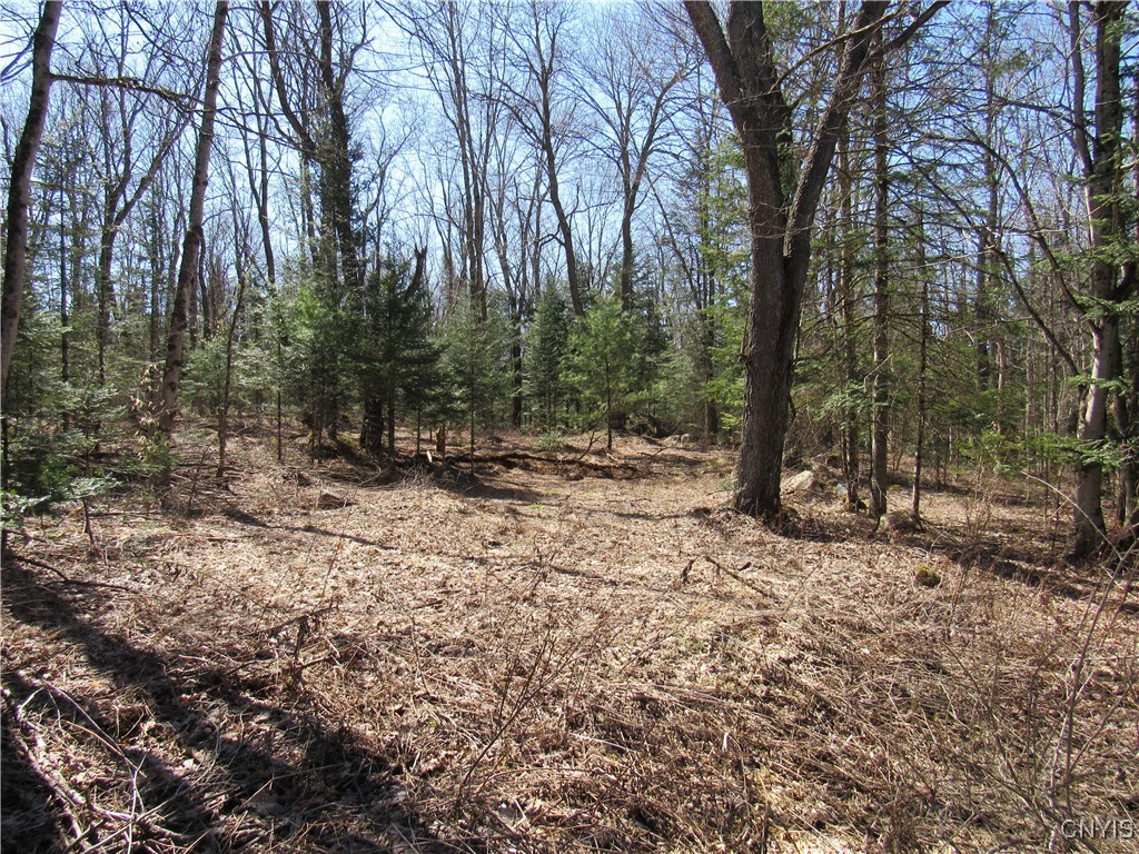 1018 S Road Forestport, NY 13338 - Photo 2 of 24