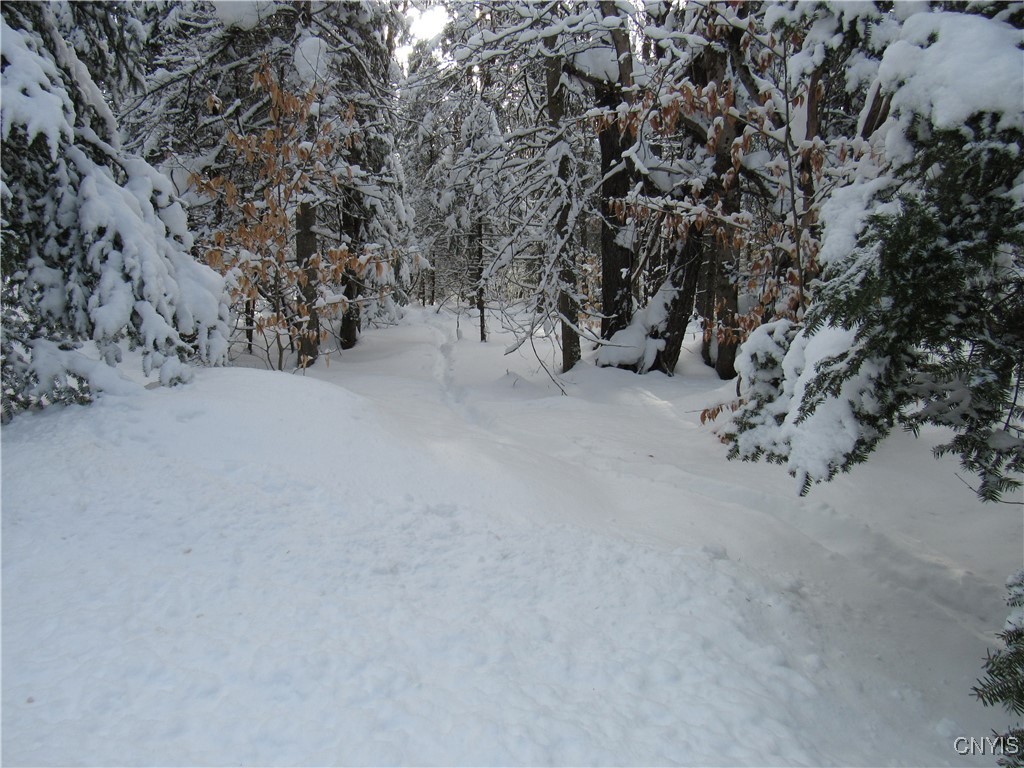 1018 S Road Forestport, NY 13338 - Photo 21 of 24