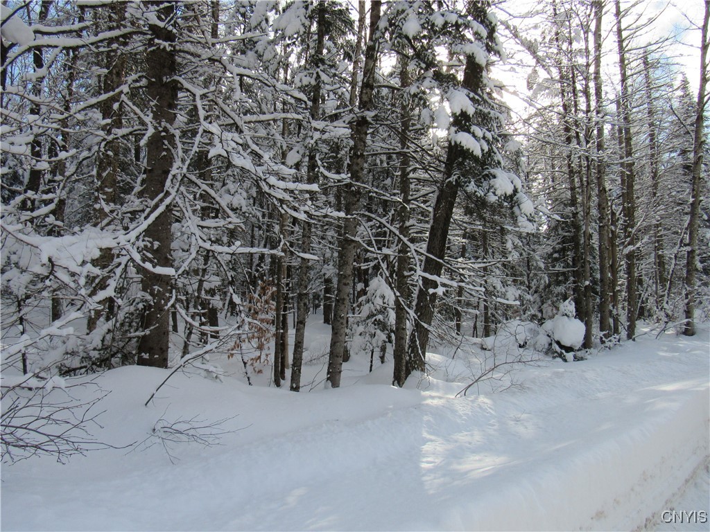 1018 S Road Forestport, NY 13338 - Photo 22 of 24
