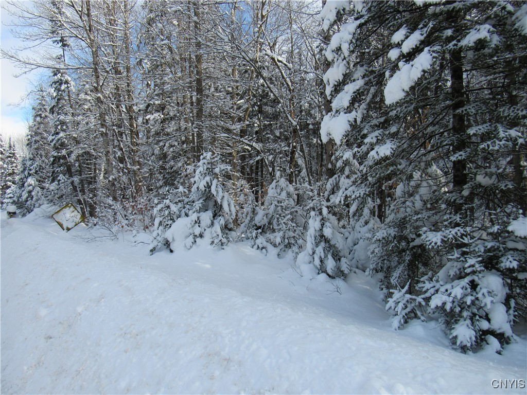 1018 S Road Forestport, NY 13338 - Photo 24 of 24