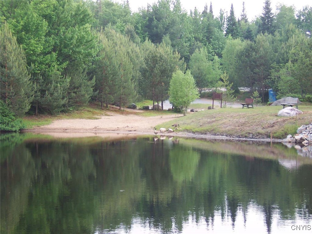 1018 S Road Forestport, NY 13338 - Photo 3 of 24