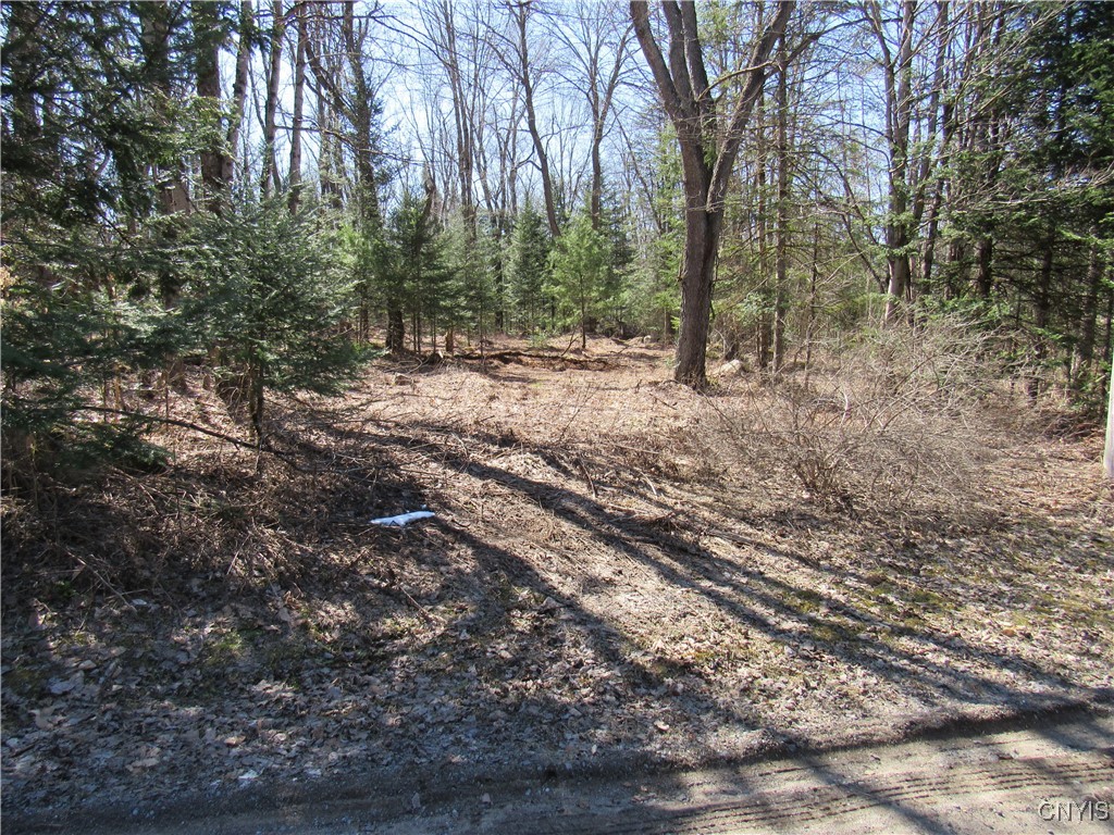 1018 S Road Forestport, NY 13338 - Photo 4 of 24