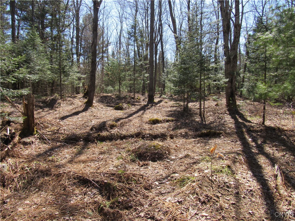 1018 S Road Forestport, NY 13338 - Photo 5 of 24