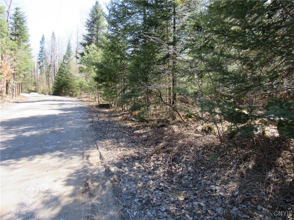 1018 S Road Forestport, NY 13338 - Photo 6 of 24