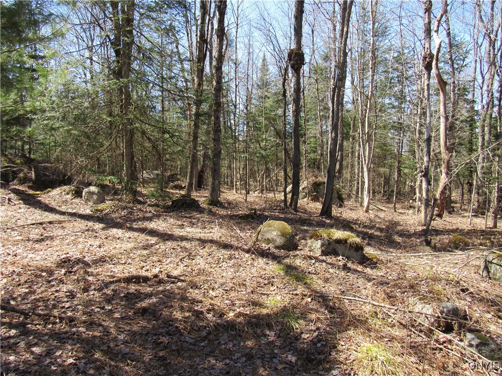 1018 S Road Forestport, NY 13338 - Photo 7 of 24