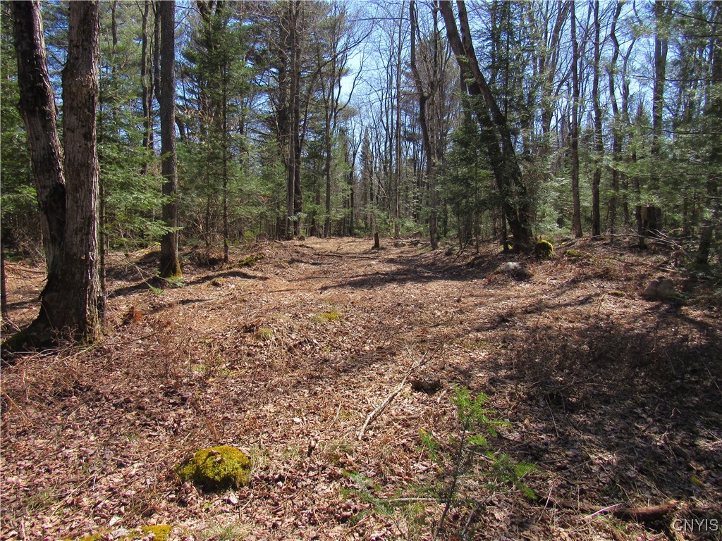 1018 S Road Forestport, NY 13338 - Photo 8 of 24