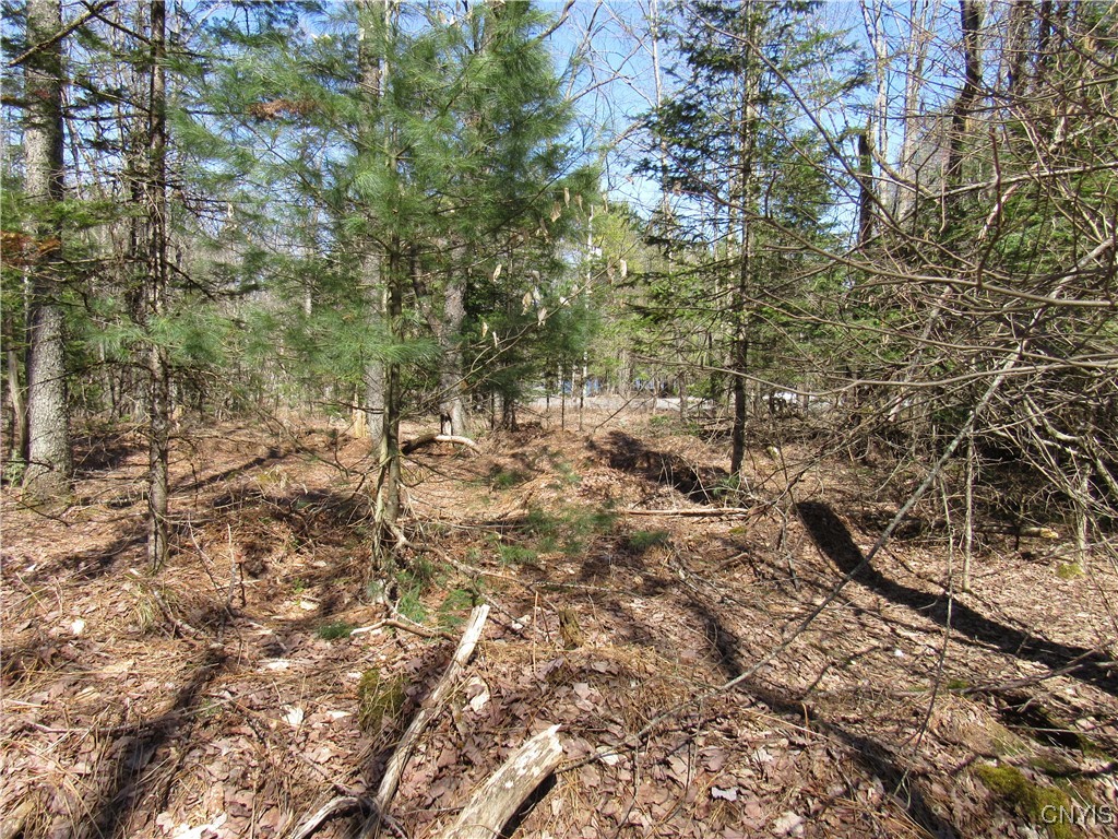 1018 S Road Forestport, NY 13338 - Photo 9 of 24