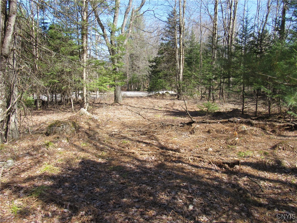 1018 S Road Forestport, NY 13338 - Photo 10 of 24