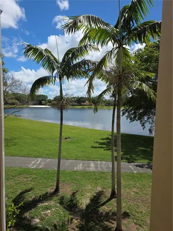 a view of a garden from a patio