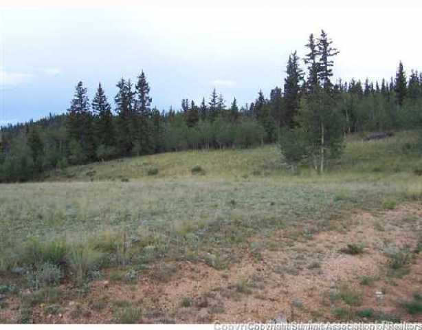 30 Swiggler Road Jefferson, CO 80456 - Photo 2 of 5 Land/Lot.