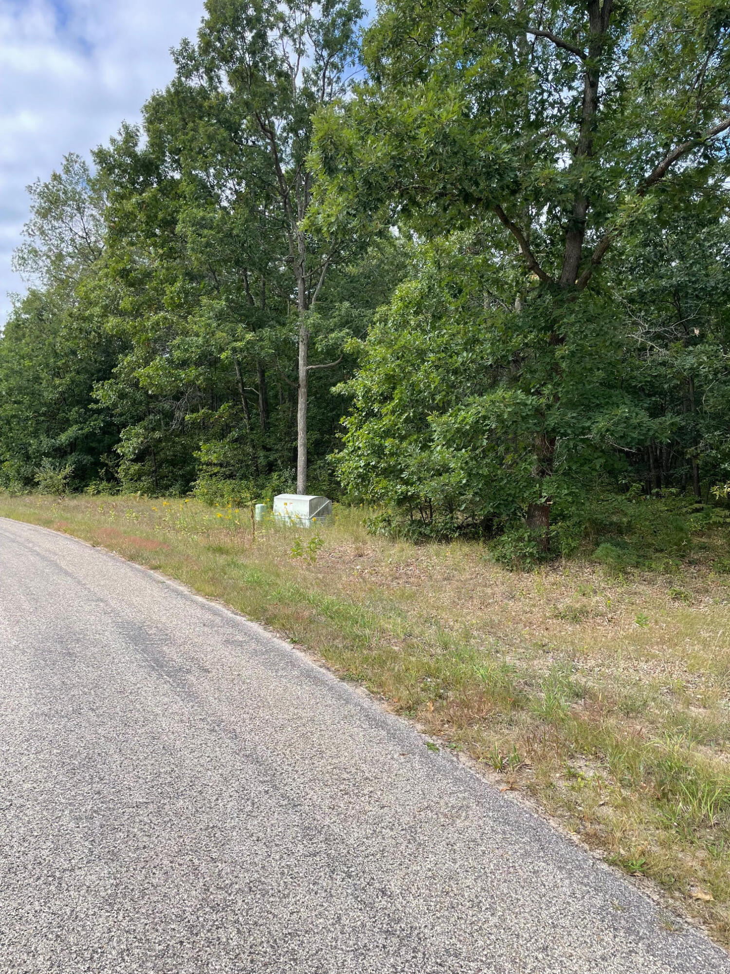 Lot 1 Renaissance Park Manistee, MI 49660 - Photo 5 of 5 Underground utilities