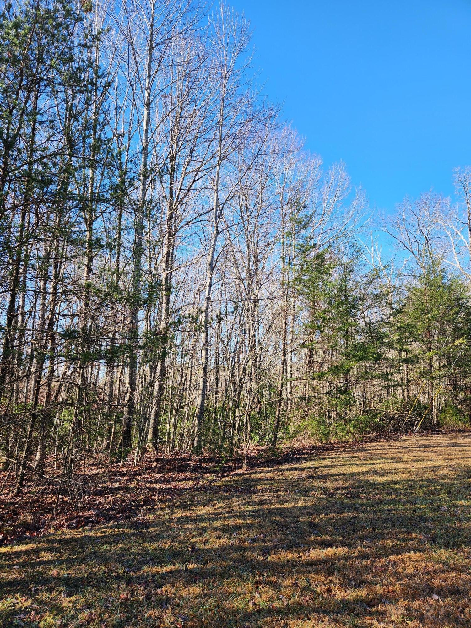 0 Ridge View Drive Spencer, TN 38585 - Photo 10 of 17 Gallery Image 10