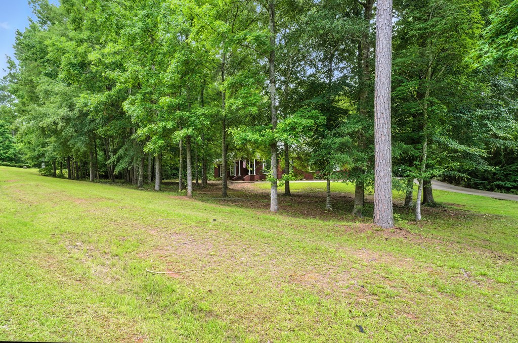 39 Cove Hollow Road Fortson, GA 31808 - Photo 3 of 32 Gallery Image 3