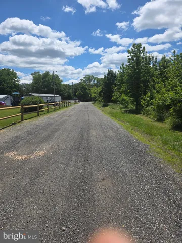 a view of a yard with large trees