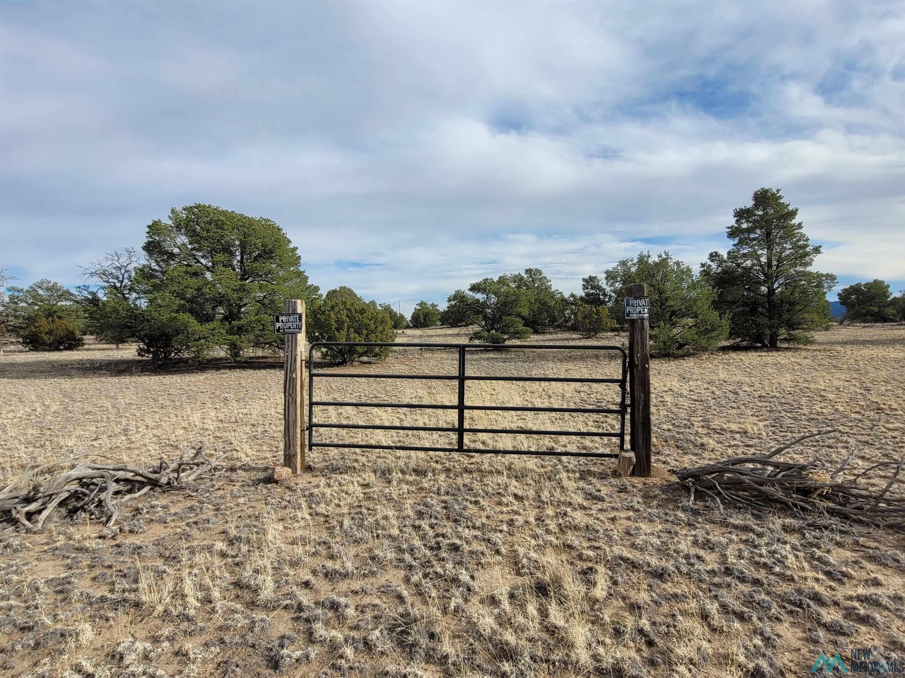 47 Cougar Run Datil, NM 87821 - Photo 8 of 38 Gallery Image 8