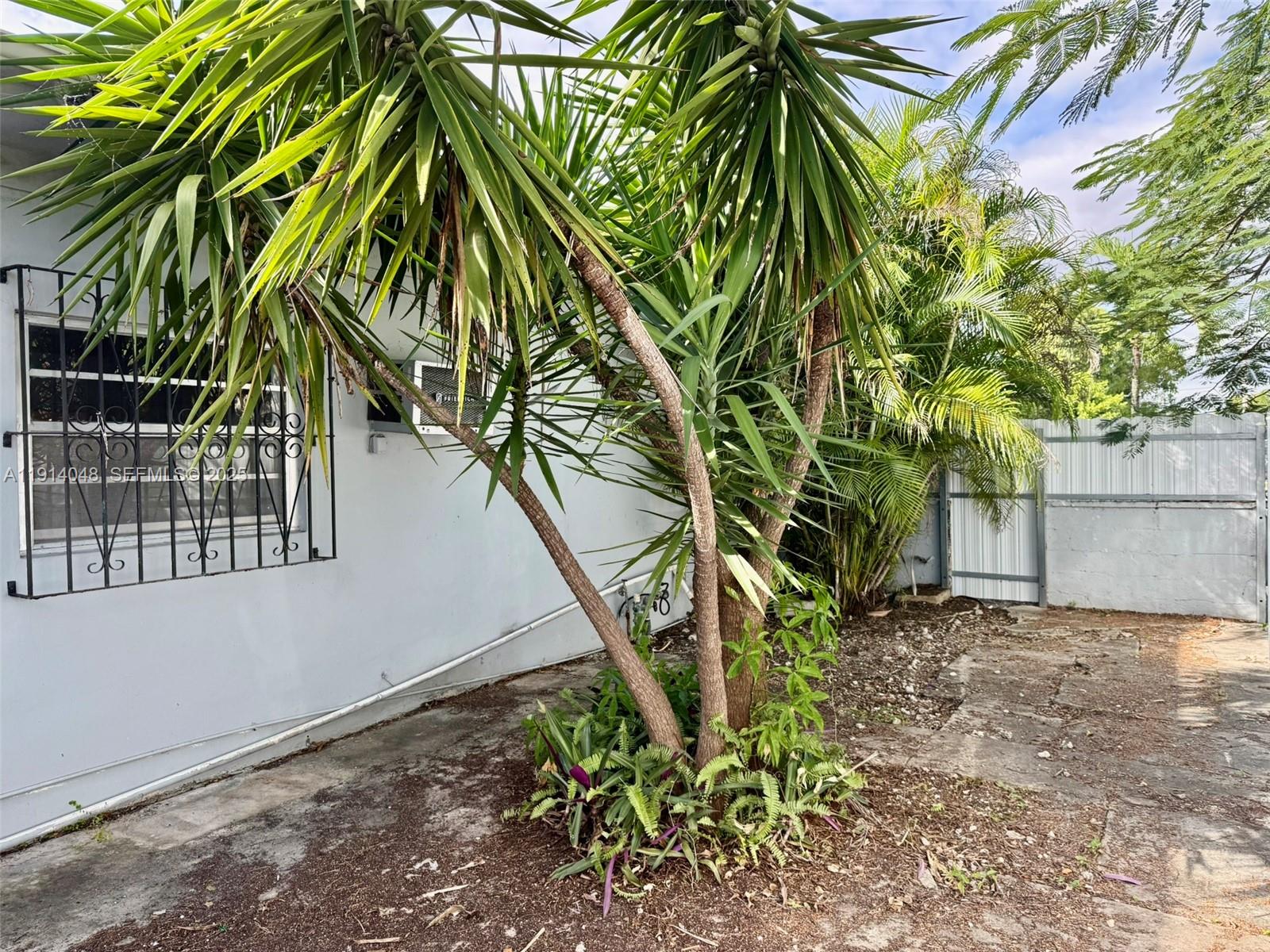 3000 Northwest 5th Street Miami, FL 33125 - Photo 42 of 54 a plant that is in front of a house