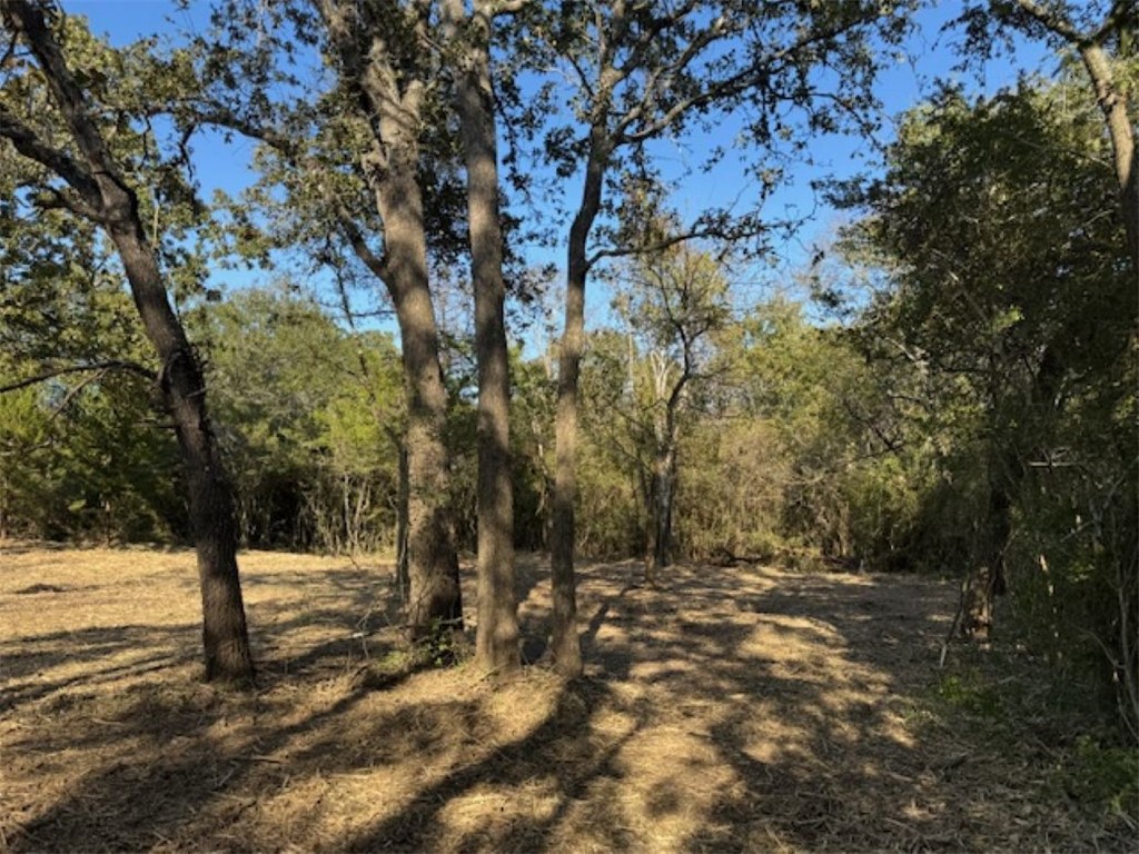 a view of a yard with a tree
