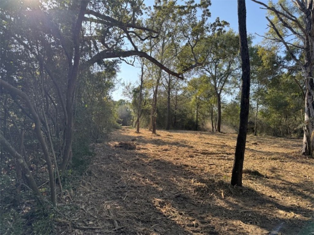 Tbd Sweed Road Washington, TX 77880 - Photo 11 of 25 a view of a forest filled with trees