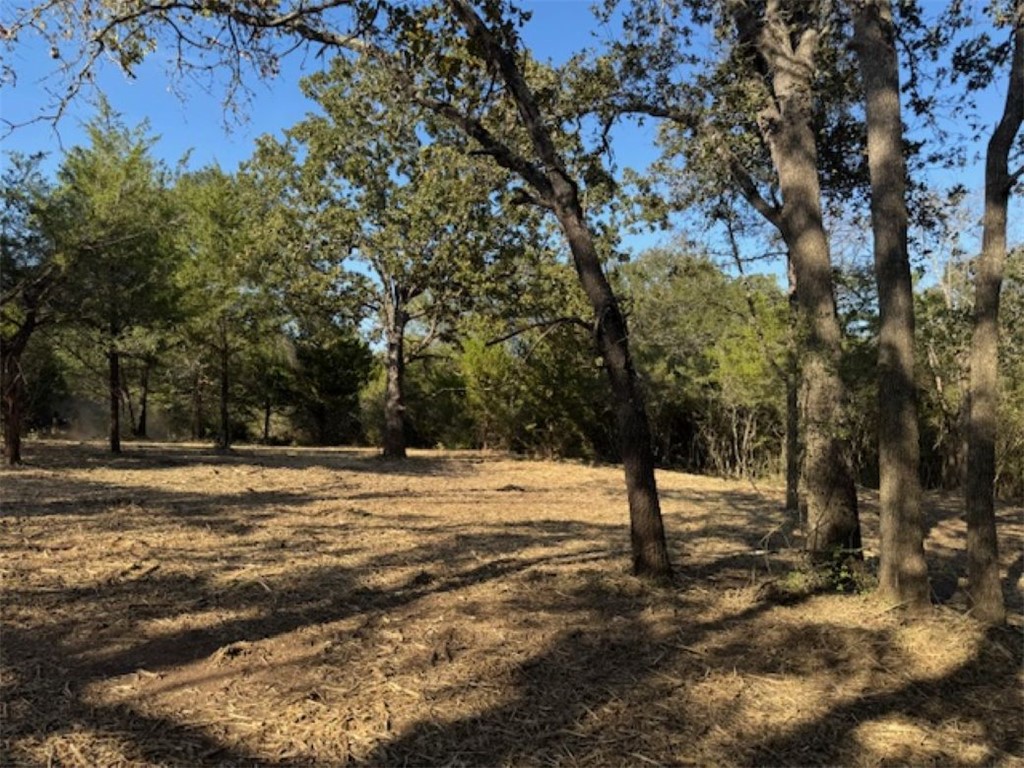 Tbd Sweed Road Washington, TX 77880 - Photo 12 of 25 a view of ocean with large trees