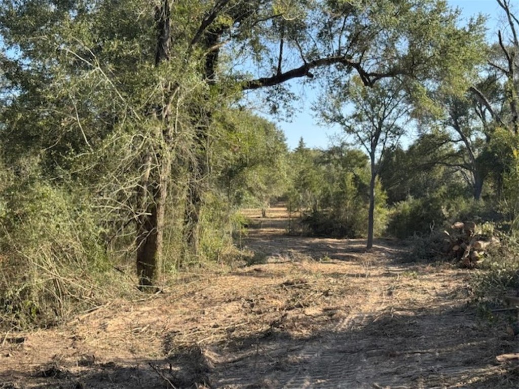 Tbd Sweed Road Washington, TX 77880 - Photo 15 of 25 a view of a yard with trees