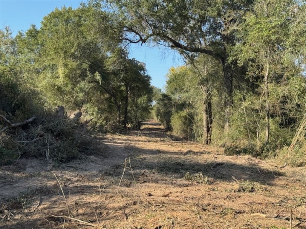 Tbd Sweed Road Washington, TX 77880 - Photo 16 of 25 a view of a yard with trees