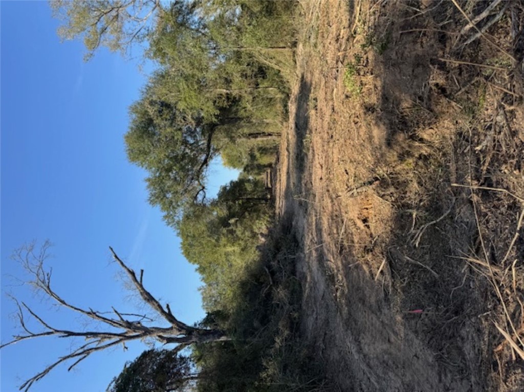 Tbd Sweed Road Washington, TX 77880 - Photo 17 of 25 a view of lake view with lots of trees