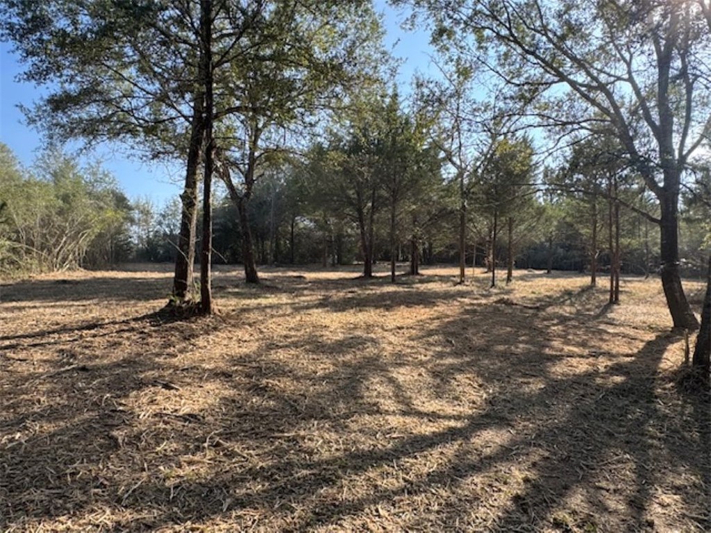 Tbd Sweed Road Washington, TX 77880 - Photo 18 of 25 a view of outdoor space with trees