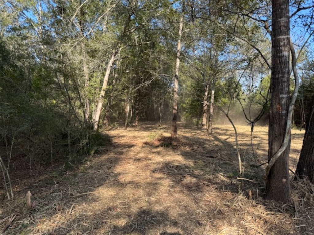 Tbd Sweed Road Washington, TX 77880 - Photo 19 of 25 a view of backyard space