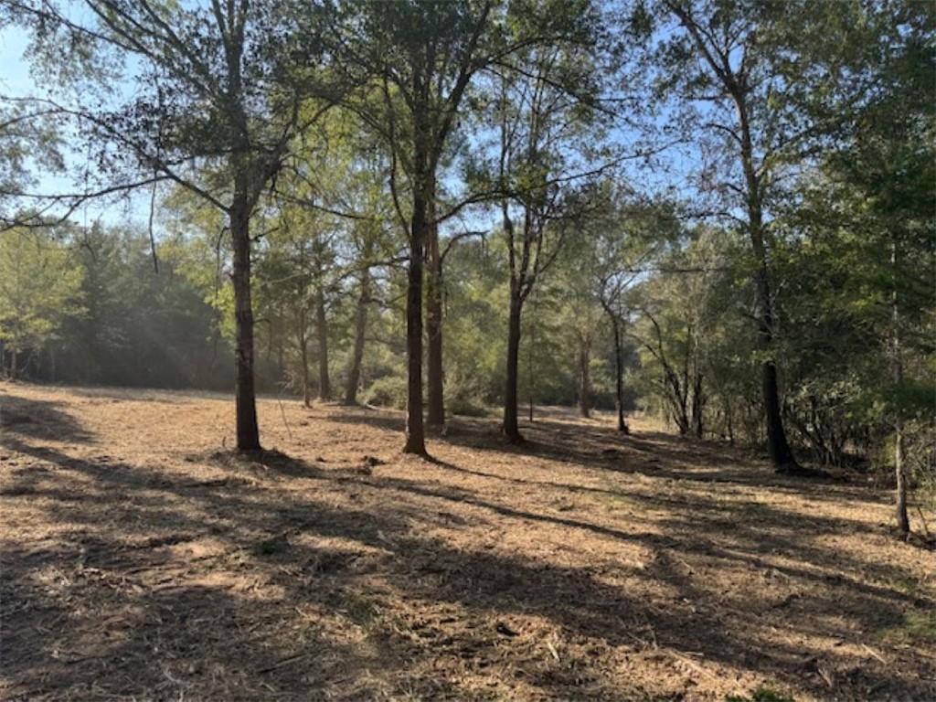 Tbd Sweed Road Washington, TX 77880 - Photo 2 of 25 a view of outdoor space with trees