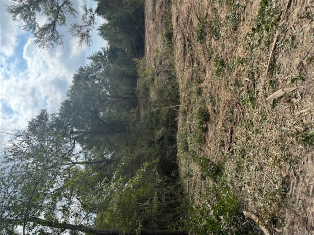 Tbd Sweed Road Washington, TX 77880 - Photo 22 of 25 a view of a yard