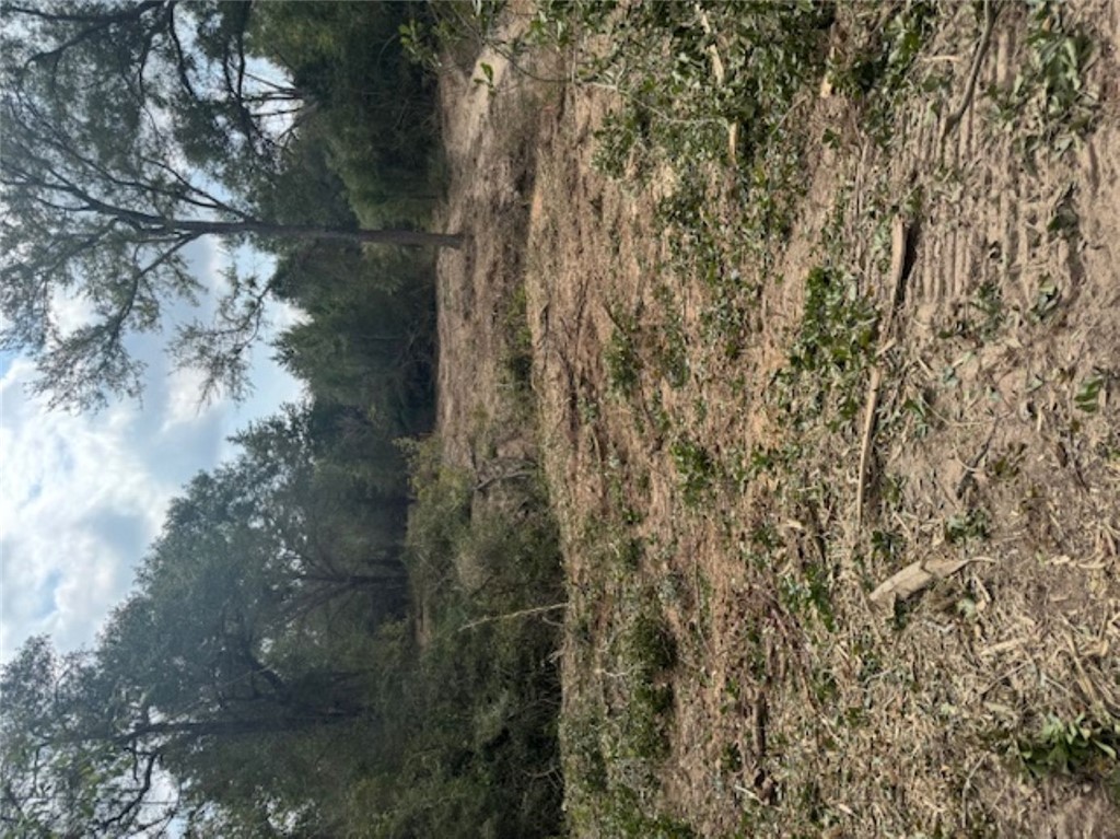 Tbd Sweed Road Washington, TX 77880 - Photo 24 of 25 a view of a field