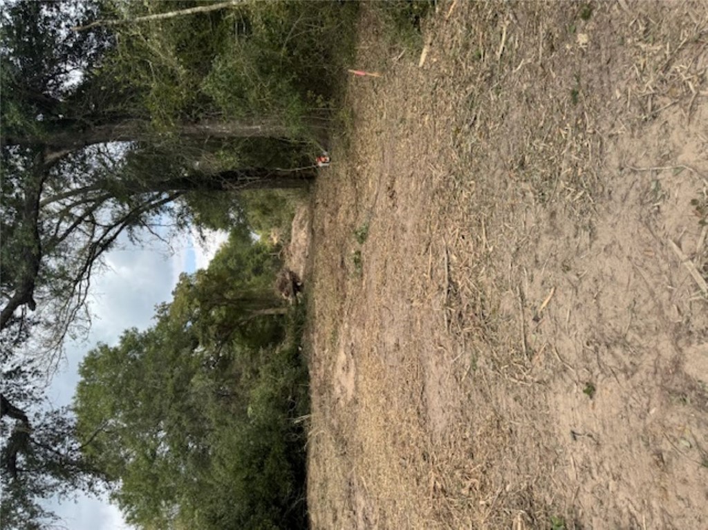 Tbd Sweed Road Washington, TX 77880 - Photo 25 of 25 a view of a yard with a tree